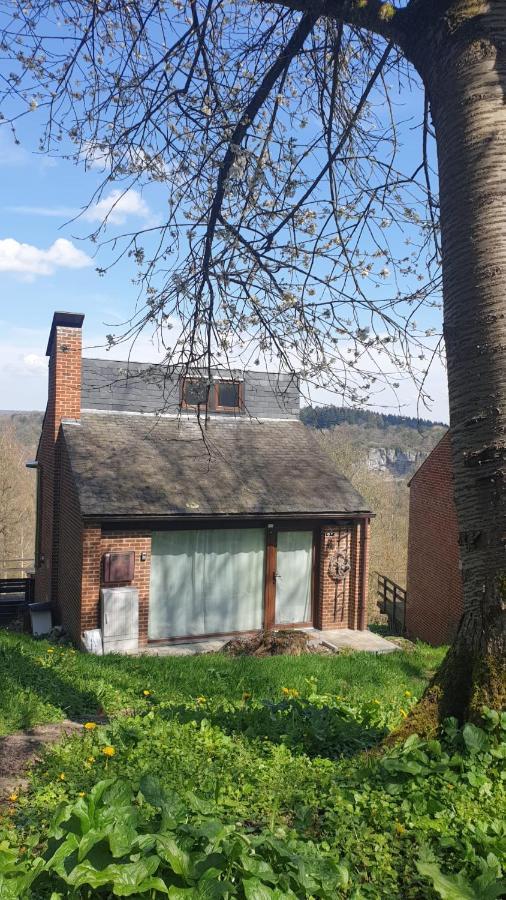 La Cabane D'Helie - Cottage En Pleine Foret - Domaine Du Bonsoy Hastiere-par-dela Extérieur photo